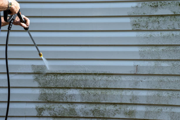 Best Siding Removal and Disposal  in Kinston, NC