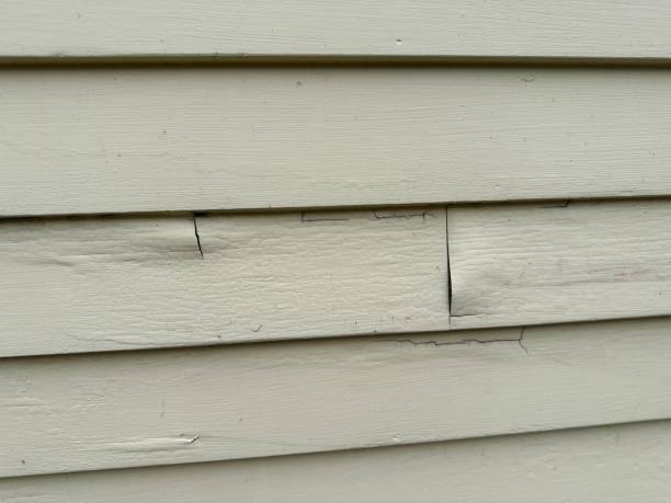 Best Historical Building Siding Restoration  in Kinston, NC